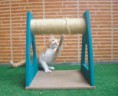RASCADOR PARA GATOS HORIZONTAL